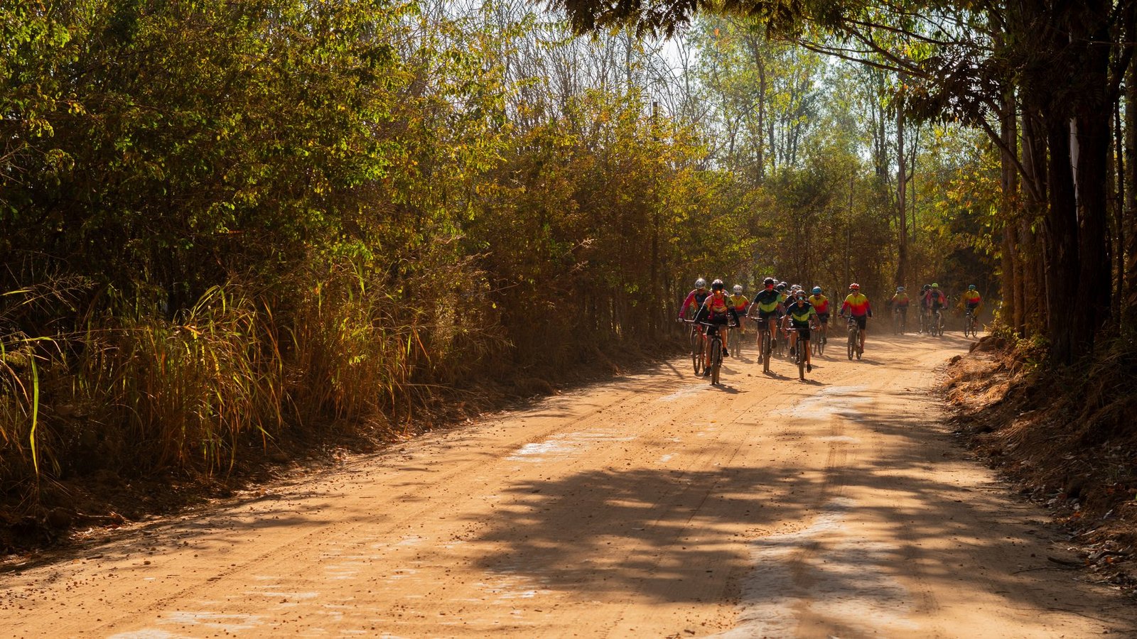Pedal Rocha Biker's - foto 03